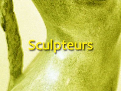 Association AcomArtistes | sculpteurs pau, exposition sculpteurs pau, exposition sculpture, atelier sculpture, plasticienne pau | Pau (64)