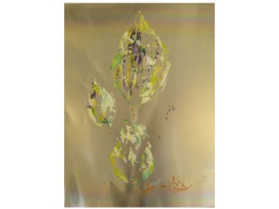 Association AcomArtistes | peintre pau, poète pau, poésie pau, exposition peintre pau, exposition peinture pau, poèmes pau | Pau (64)